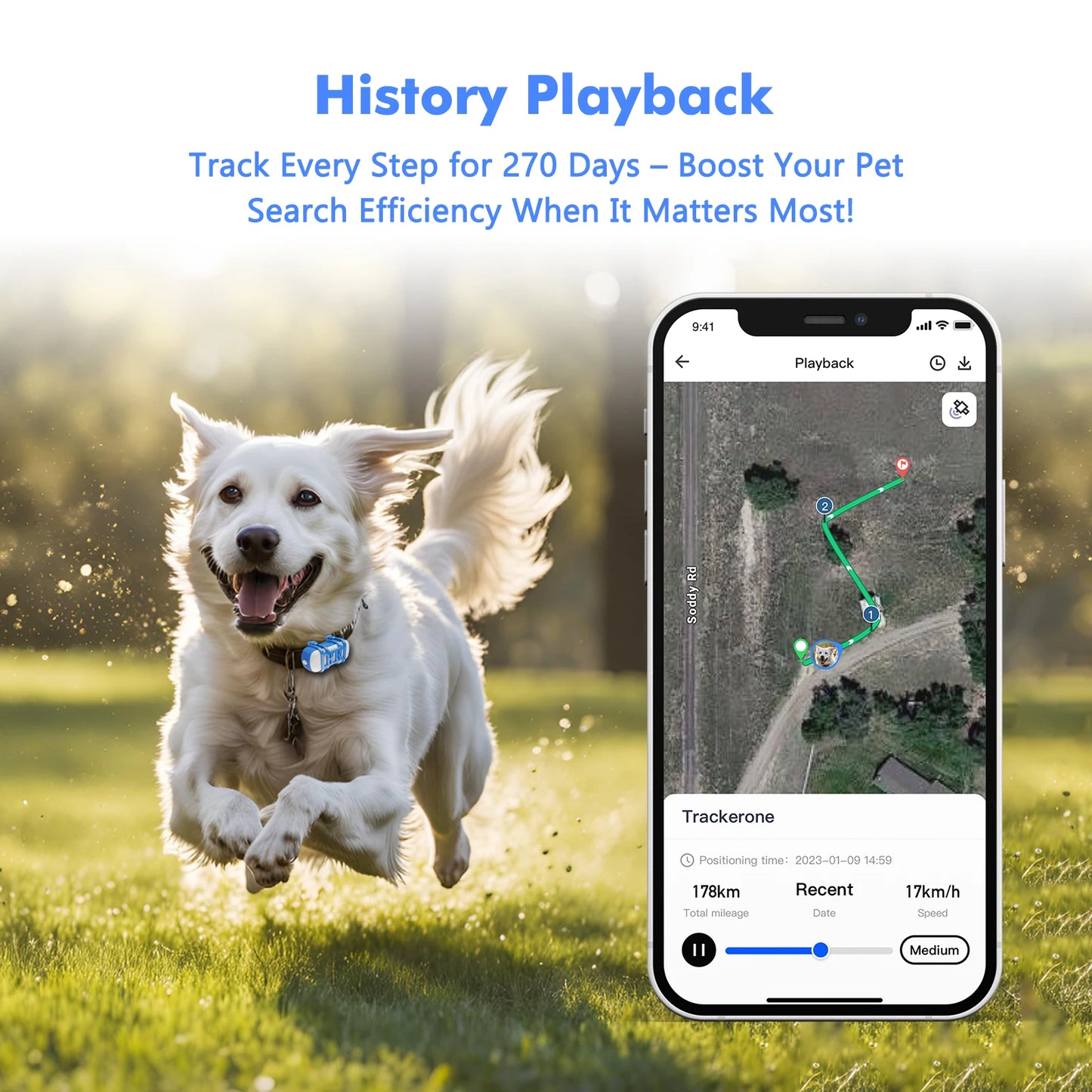 ‌4G Dog Cat GPS Tracker for Pets - Waterproof Smart Locator with App, Live Tracking & Light/Sound Search with Subscription