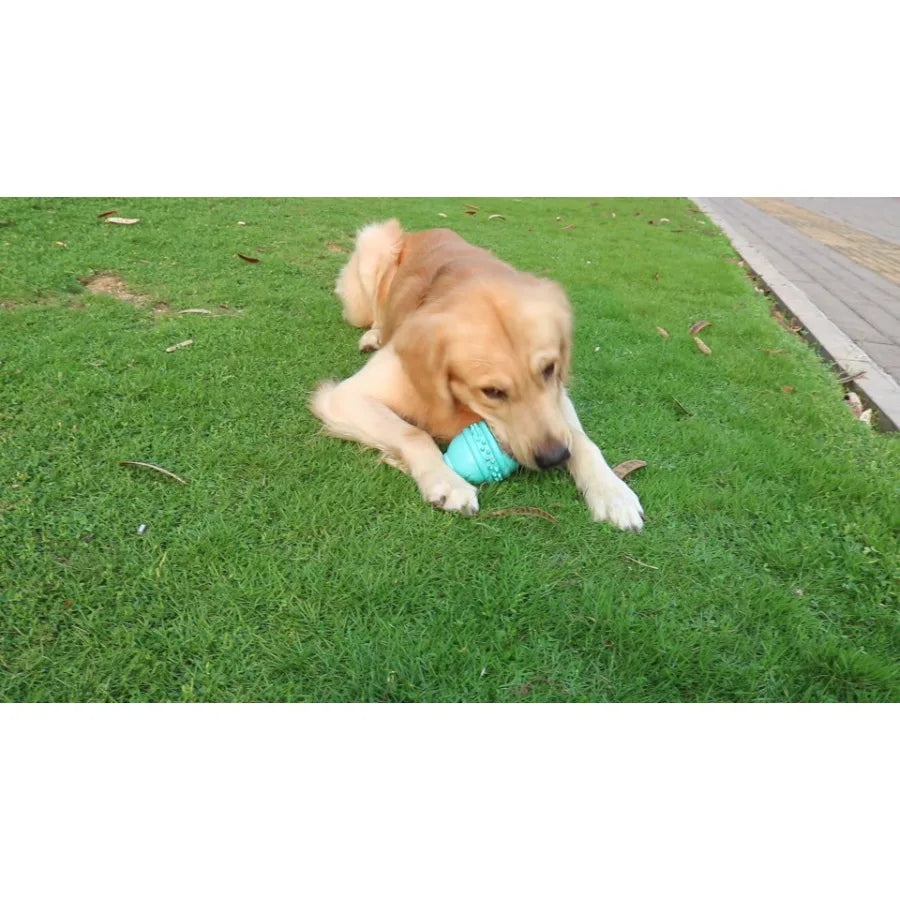 Bottle Shape Dog Chew Toys Dogs Puppies Teething Clean Pets Safe Bite Chew Toys