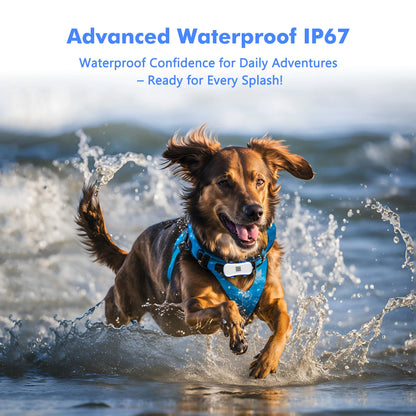 ‌4G Dog Cat GPS Tracker for Pets - Waterproof Smart Locator with App, Live Tracking & Light/Sound Search with Subscription